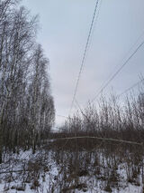 Foto pengguna u2669285418