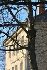 Photos TomaszAdamski1