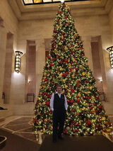 Benutzerfoto pagostinonyc