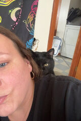 Benutzerfoto reginawingate04