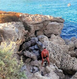 Benutzerfoto zajacpawel213