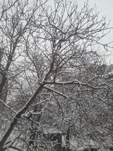 Zdjęcie użytkownika marcos010