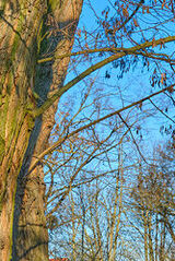 Foto pengguna PIKACHUSIO