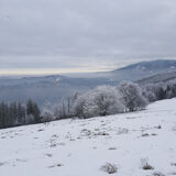 Фото користувача Szymon050190