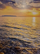 Benutzerfoto Pablo7419