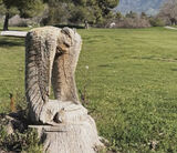 Zdjęcie użytkownika kelvinmcgrew6