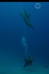 Zdjęcie użytkownika srebrnypn