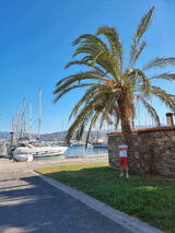 Benutzerfoto Mmmmm997