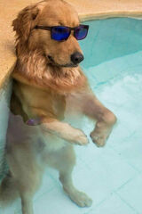 Benutzerfoto zolwzadhd