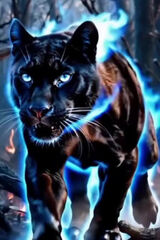 Benutzerfoto PIOTRKOWALSKI20