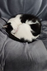 Photos XArkadiusz666X