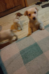 Foto pengguna u6630042518