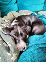 Zdjęcie użytkownika Reicardo