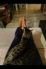 Foto utilizatorului Justynka44