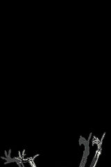 Benutzerfoto toxicninka