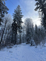 Zdjęcie użytkownika Justynka44