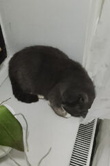 Фотография пользователя kszysztofjazwicz