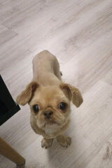 Фотография пользователя romekmatera78