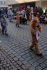 Photos Malgorzataprusak