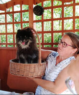 Fotka uživatele kiciasexi612