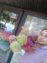 Foto pengguna dario1705190