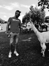 Foto utilizatorului Fabregas1111