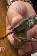 Фотография пользователя gabrysia557onetp75