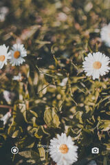 Foto utilizatorului juliamilewska206