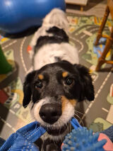 Benutzerfoto joemcgregor87