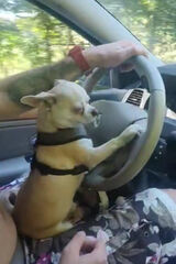 Photos pawelslowiak701988