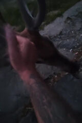 Photos pawelslowiak701988