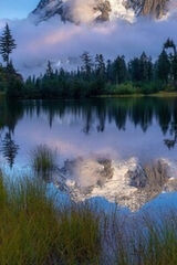 Foto pengguna darioksc