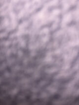 Benutzerfoto tn8728187