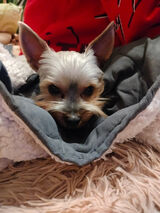 Fotka uživatele fajnyfajny75