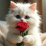 Фото користувача AndrzejPhotonikon