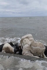 Zdjęcie użytkownika pawel1965p