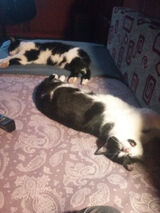 Фото користувача xdatexdate