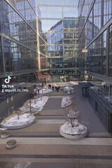 Benutzerfoto igorremins