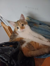 Benutzerfoto radekradek018