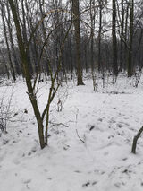 Fotka uživatele nioberrt4582