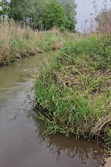 Zdjęcie użytkownika janek7659