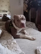 Фотография пользователя mackiewiczsebast37