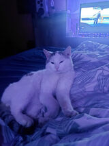 Zdjęcie użytkownika daro1d2