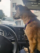 Фотография пользователя MarcinLesniewski2