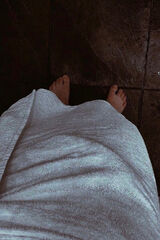 Zdjęcie użytkownika sasiu02