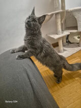 Zdjęcie użytkownika andrzej409845