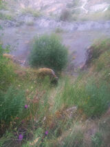 Photos DariuszDariusz1987