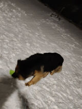 Benutzerfoto Cordian07