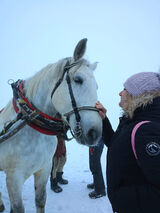 Zdjęcie użytkownika asiass85