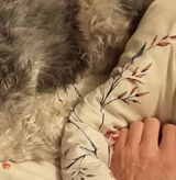 Фото користувача Remigiuszlubon